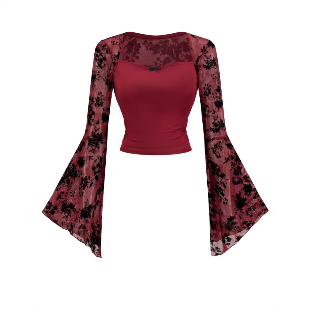 Lace-embellished Chic And Sexy Mesh Long-sleeve Top