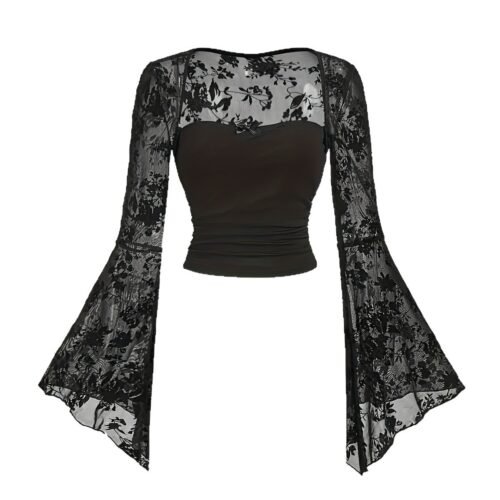 Lace-embellished Chic And Sexy Mesh Long-sleeve Top